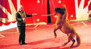 Le Cirque Henri Zavatta et toute sa ménagerie à Lunel