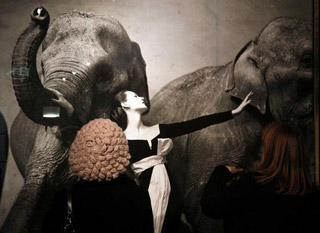 Paris: 841.000 euros une photo de Richard Avedon