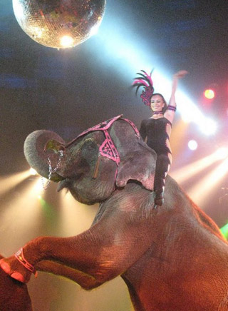 Mexique: le Circo Atayde fidèle à la tradition depuis 1888