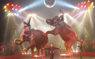 Mexique: le Circo Atayde fidèle à la tradition depuis 1888