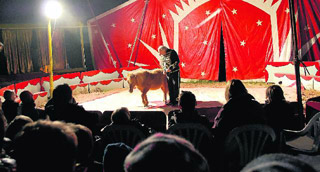 Hérault: le cirque H. Zavatta et son 