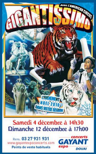 Nord: l'American Circus Togni arrive à Douai