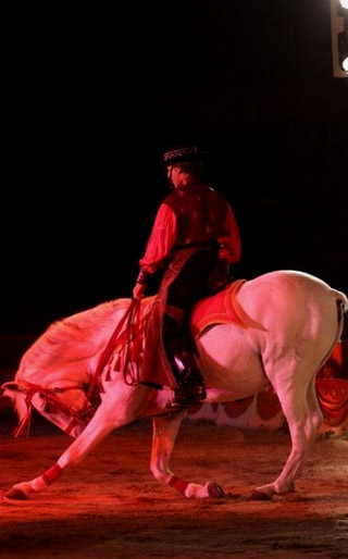 Nord: le séjour à Douai de l'American Circus Togni se poursuit jusqu'au 12 décembre prochain