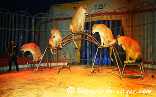 Lot-et-Garonne: le Cirque Anthony Zavatta est à Agen jusqu'au 05 décembre 2010
