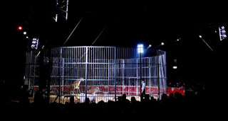 Tunisie: le cirque italien Bellucci à Sousse à partir du 10 décembre 2010