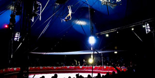 Tunisie: le cirque italien Bellucci à Sousse à partir du 10 décembre 2010
