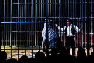 Tunisie: le cirque italien Bellucci à Sousse à partir du 10 décembre 2010
