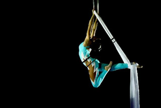 Tunisie: le cirque italien Bellucci à Sousse à partir du 10 décembre 2010