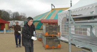 Vienne: la magie de Nol sous le grand chapiteau du Cirque Octave Singulier à Poitiers