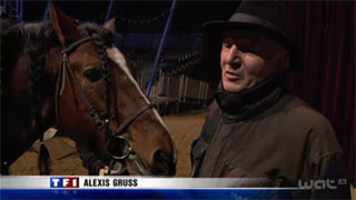 Paris: le Cirque National Alexis Gruss au JT de TF1