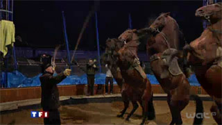 Paris: le Cirque National Alexis Gruss au JT de TF1