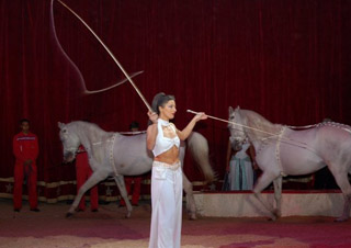 Nord: derniers jours de l'American Circus Togni à Douai