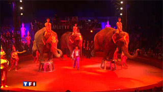 Paris: le Cirque Arlette Gruss au JT de TF1