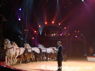Tarn: fin de la tournée 2010 du Cirque Amar
