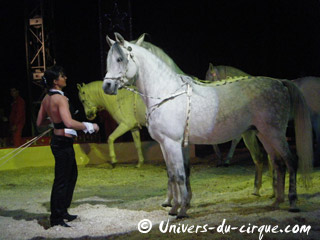 Nord: le spectacle 