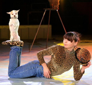 Tarn-et-Garonne: répétition générale avant la première à Valence d'Agen pour Nol en Cirque
