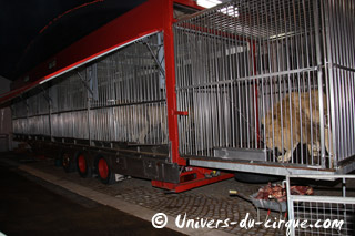 Tarn-et-Garonne: instants dans les coulisses de Nol en Cirque à Valence-d'Agen