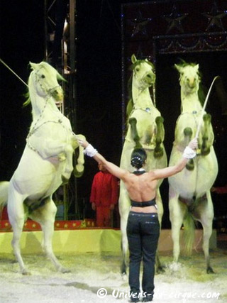 Italie: l'American Circus Togni à Vérone du 25 décembre 2010 au 09 janvier 2011