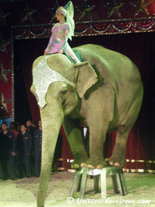 Italie: l'American Circus Togni à Vérone du 25 décembre 2010 au 09 janvier 2011