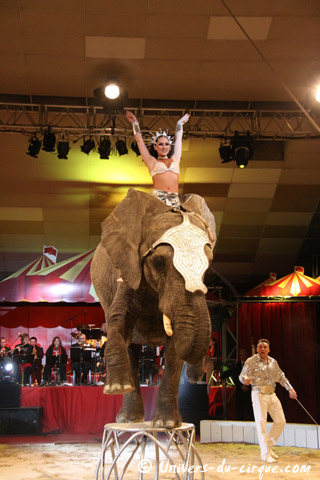 Tarn-et-Garonne: instants dans la piste de Nol en Cirque à Valence-d'Agen