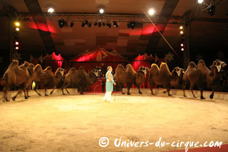 Tarn-et-Garonne: instants dans la piste de Nol en Cirque à Valence-d'Agen
