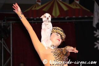Tarn-et-Garonne: instants dans la piste de Nol en Cirque à Valence-d'Agen