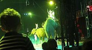 Nord: les enfants des salariés vont rêver de cirque avec l'American Circus à Valenciennes