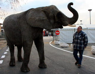 Tarn-et-Garonne: la ménagerie de Nol en Cirque craint-elle le froid valencien?