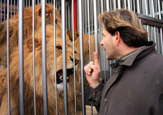 Tarn-et-Garonne: l'homme qui murmure à l'oreille des lions à Nol en Cirque à Valence-d'Agen