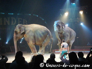 Paris: le public fait son festival du Cirque chez Pinder à Paris jusqu'au 09 janvier 2011
