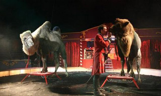 Indre-et-Loire: le Georget Family Circus fête Nol au village à Luynes