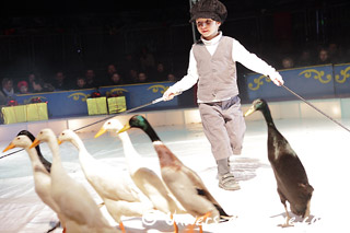Indre-et-Loire: instants spectacle au Village du Cirque de Nol à Luynes