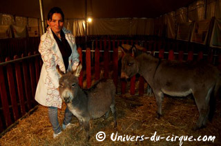 Lot-et-Garonne: La Ferme de Pinocchio à Agen jusqu'au 31 décembre 2010