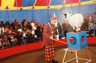 Charente: le Cirque Kerthe divertit les enfants des quartiers à Angoulême