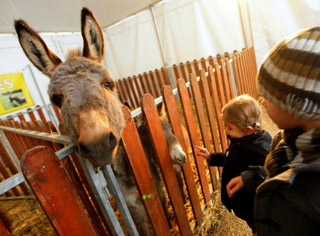 Lot-et-Garonne: La Ferme de Pinocchio vous attend Place du Pin à Agen