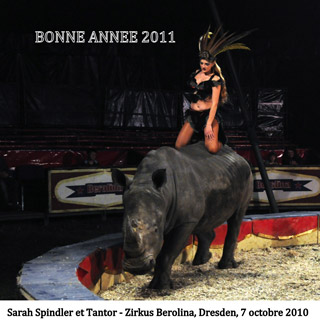 Nouvel an: des cartes de voeux sur le thème du cirque