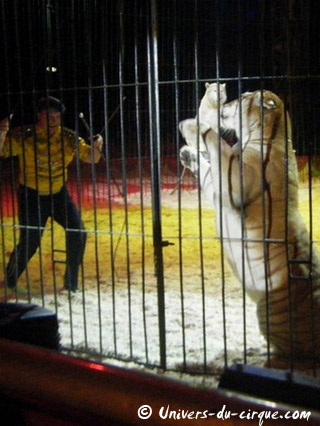 Italie: le séjour de l'American Circus Togni à Vérone se poursuit jusqu'au 09 janvier 2011