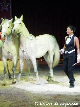 Italie: le séjour de l'American Circus Togni à Vérone se poursuit jusqu'au 09 janvier 2011