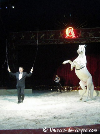 Italie: le séjour de l'American Circus Togni à Vérone se poursuit jusqu'au 09 janvier 2011