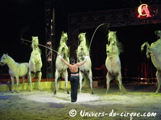 Rétrospective 2010 (04): une année sur les pistes des cirques étrangers en France et à ses frontières