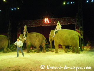 Monaco: le grand retour de Flavio Togni au 35 Festival International du Cirque de Monte-Carlo