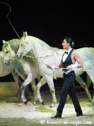 Italie: l'American Circus à Lucca du 13 au 18 janvier 2011