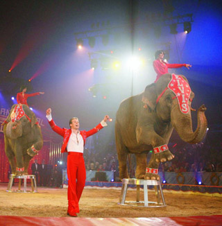 Monaco: en piste pour le 35e Festival International du Cirque de Monte-Carlo