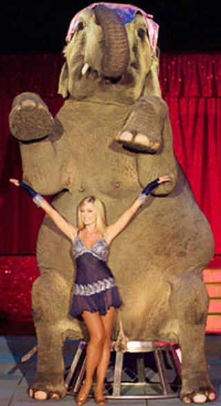 Italie: la tournée du Circo Moira Orfei se poursuit avec 