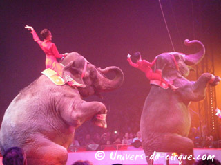 Essonne: les dates du 20 Festival International du Cirque de Massy en 2012