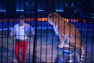 Monaco: instants de la soirée d'ouverture du 35 Festival International du Cirque de Monte-Carlo (02)