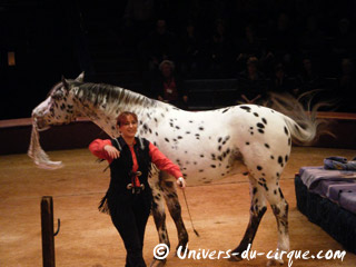 Marne: l'édition 2011 du Cirque Educatif de Reims se poursuit jusqu'au 30 janvier 2011