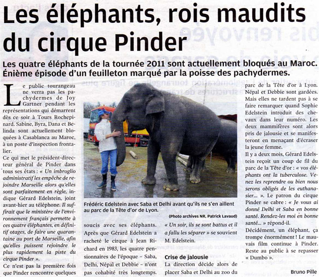 Indre-et-Loire: les éléphants, rois maudits du Cirque Pinder à Tours