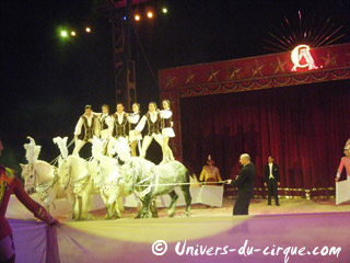 Italie: l'American Circus Togni à Livourne du 03 au 14 février 2011