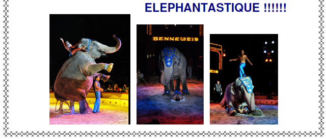 Yvelines: Alex et Christian Gartner au programme du 10 Festival du Cirque des Mureaux